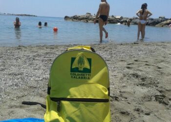 Coldiretti Calabria Fase 3: la grande scommessa è attrarre turisti