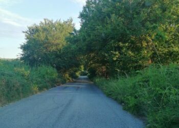 La strada SP 53 che va a Strongoli nel degrado, il Comitato Civico Polis chiede un intervento risolutivo alla Provincia