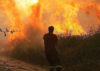 Lotta incendi boschivi: convenzione tra Vigili del Fuoco e Calabria Verde