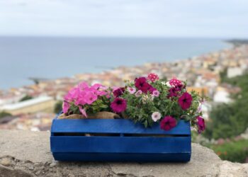 L’Associazione Coordinamento Donne Cariati colora il Centro Storico