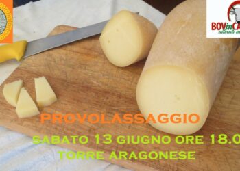 Manifestazione mostra-degustazione di Provola e Caciocavallo nella la Torre Aragonese di Torre Melissa