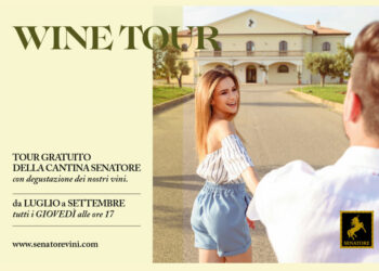 Wine Tour gratuiti: Lasciati affascinare dalla cultura del Vino e dalla sua produzione nella tenuta di Senatore Vini a Cirò Marina