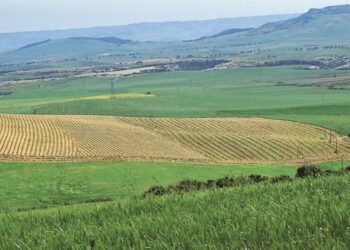 Agricoltura: l’accesso diretto al fondo di garanzia diventa realtà