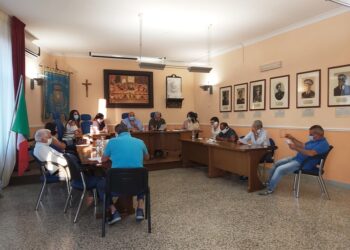 Cirò, primo Consiglio comunale dopo covid: querelle tra Sindaco e Presidente ff della Provincia