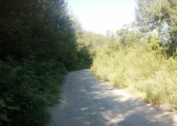 Curve pericolose sulla Sp7 da Cirò ad Umbriatico, lamentele dei cittadini