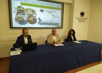 Nella regione Calabria rischiano di scomparire 9 mila imprese del terziario con una perdita di 23 mila posti di lavoro