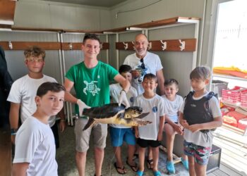 I ragazzi della scuola di vela del Club Velico Crotone salvano tartaruga al largo della costa crotonese