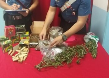 Santa Severina: arrestato perché deteneva munizioni e sostanza stupefacente