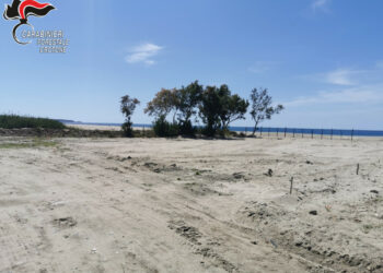 Spiana illegalmente alcune dune litoranee a Steccato di Cutro, denunciato il responsabile