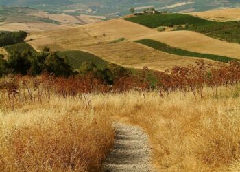 PSR: oltre 6 milioni di euro a 80 Comuni calabresi per sviluppo aree rurali