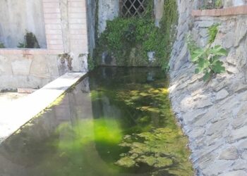 La fontana dei Canali, una delle antiche sorgenti di Cirò aspetta una pulizia straordinaria delle sue vasche