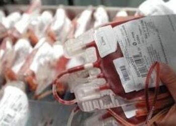 Grande successo la raccolta di sangue a marina di Strongoli organizzata dell’AVIS