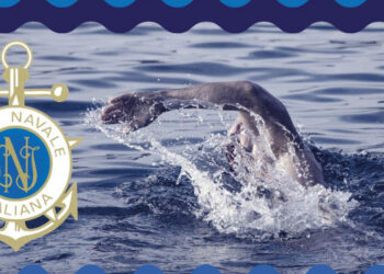 Al via il 7° Trofeo di Nuoto “Bandiera Blu” di Cirò Marina, gara amatoriale mercoledi 19 agosto 2020