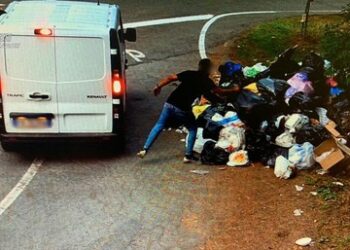 Abbandonano rifiuti nel Parco nazionale della Sila, multati dai forestali