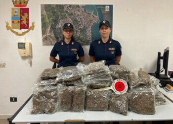 Crotone: la Squadra Mobile rinviene e sequestra 20 kg di marijuana in località  Gabella
