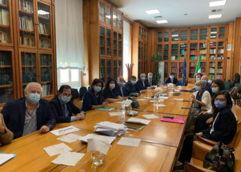 Emergenza Sanità Calabria: incontro Ministro Speranza con Cgil Cisl Uil