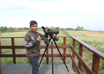 Censimento dei rapaci in Aspromonte del giovane Candelise