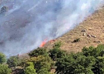 Il Circolo Legambiente Nicà: “La stagione degli incendi nel nostro territorio sembra non avere fine”