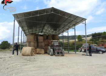 Scoperte due grandi coperture abusive a Umbriatico, deferito il titolare dell’area