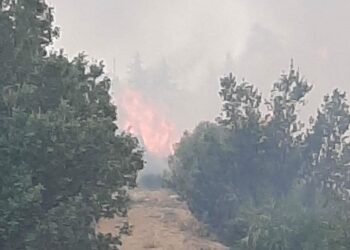 Un incendio di grosse dimensioni è stato domato nelle zone Manche di Strongoli