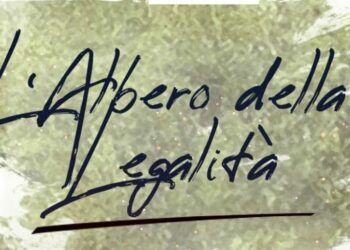 Venerdì 25 Settembre cerimonia piantumazione albero della Legalità a Perticaro di Umbriatico