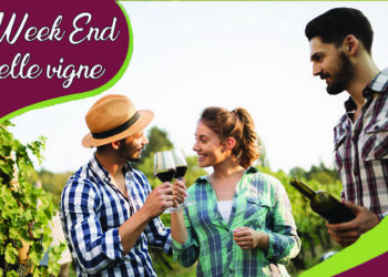 Week end nelle vigne prosegue nel periodo della vendemmia