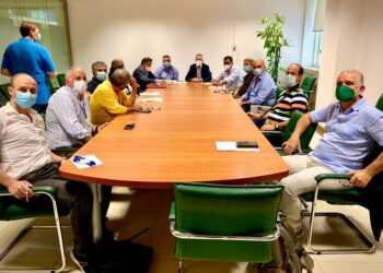 La Regione punta sull’Apicoltura, Gallo incontra le associazioni del settore