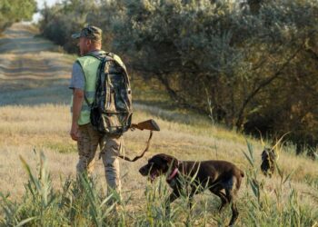 Al via domani 2 settembre la stagione della caccia 2020-2021