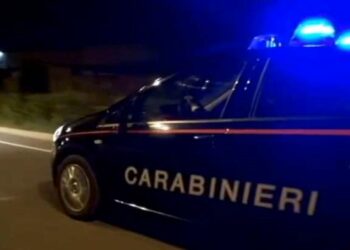 Incidente a Cirò sulla Sp7 zona Rinacchiello, Cavallo muore investito da auto