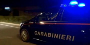 Incidente a Cirò sulla Sp7 zona Rinacchiello, Cavallo muore investito da auto