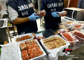 Controlli dei Carabinieri del Nas per le disposizioni anti-Covid, contravvenzioni per 8000 euro e una denuncia a piede libero