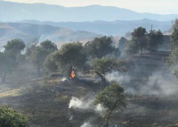 Crotone: Incendio azienda agricola Morelli, solidarietà da confagricoltura