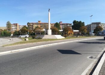 Crotone, l’Assessore Cretella scrive ai dipendenti comunali e di Akrea addetti alla cura del Verde Pubblico