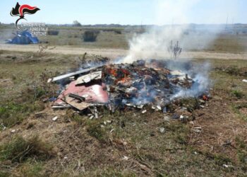 Crotone: sorpresi due uomini  a bruciare rifiuti, denunciati dai Carabinieri forestali