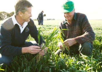 Dal Psr 4 milioni e mezzo per i servizi di consulenza agli agricoltori