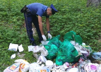 Ennesimo “sporcaccione” nei pressi del Parco Nazionale della Sila