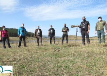 Nel Parco Nazionale della Sila torna l’Eurobirdwatch: osservati 187 uccelli appartenenti a 23 specie diverse