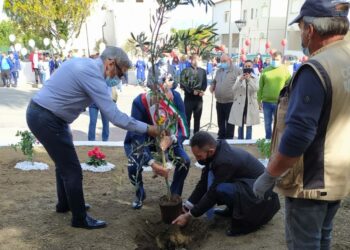 Piantumazione dell’Albero della Legalità a Melissa