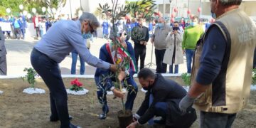 Piantumazione dell’Albero della Legalità a Melissa