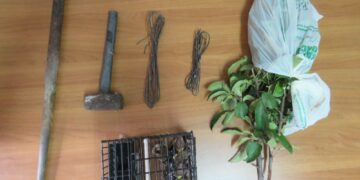 Polizia Provinciale in azione sulla Sila: denunce e sequestri contro il bracconaggio