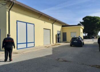 Furto alla sede Prociv Arci di Isola Capo Rizzuto, rubate attrezzature emergenza per un valore di circa 30 mila euro