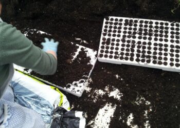 Isola Capo Rizzuto, il sindaco   Vittimberga obbliga smaltimento a norma di legge dei rifiuti derivanti dalle aziende agricole