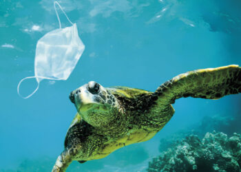 Al via la Campagna contro l’abbandono di mascherine “A me non serve!”