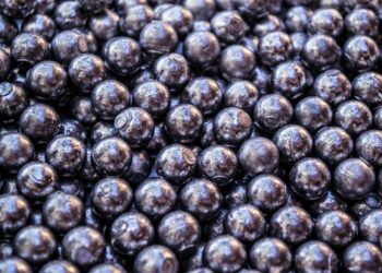 Caccia, WWF: milioni di uccelli morti ogni anno per avvelenamento da piombo