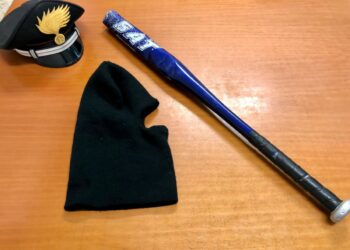 Cirò Marina, danni all’Istituto Gangale e vandalizzate auto dei Vigili: denunciato dai Carabinieri un giovane