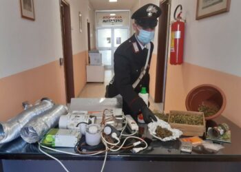 Cirò Marina. Detenzione di sostanza stupefacente,  ricettazione e furto di energia elettrica: un arresto