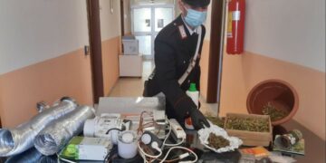 Cirò Marina. Detenzione di sostanza stupefacente,  ricettazione e furto di energia elettrica: un arresto