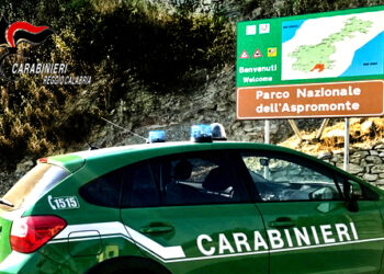 Dispersi all’interno del Parco nazionale d’Aspromonte, ritrovati dai Carabinieri forestali