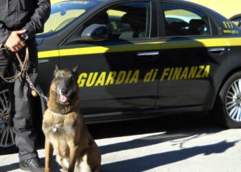 Crotone: Pluripregiudicato crotonese arrestato per spaccio di sostanze stupefacenti