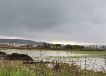 Nubifragio nel crotonese: Coldiretti, con nubifragi su siccità sale enormemente il conto dei danni